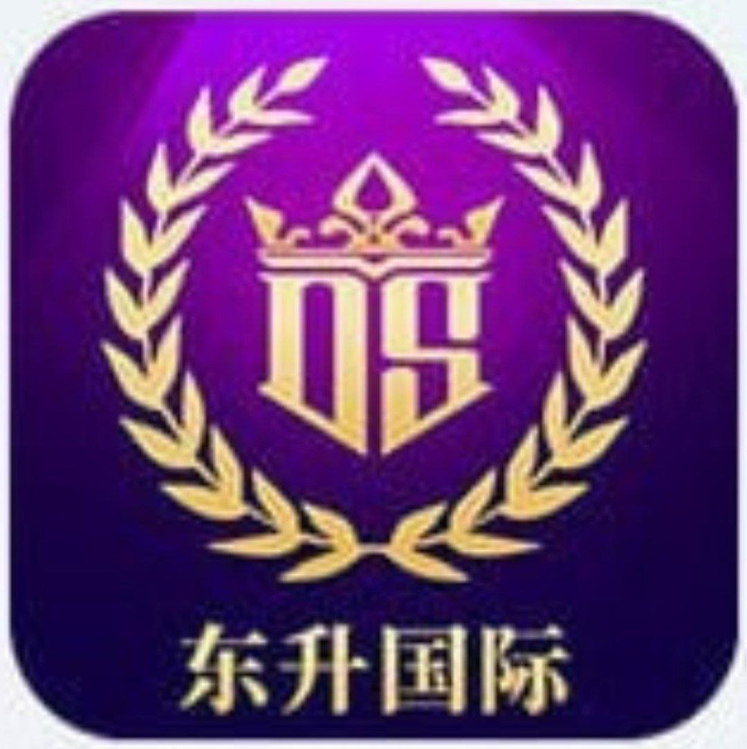 东升国际